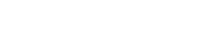 Witness logo